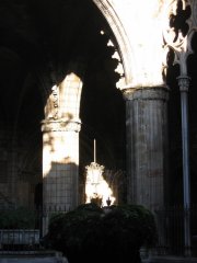 47-Inside the Catedral